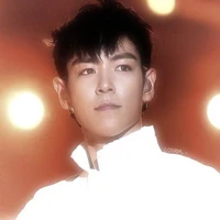 Choi Seung Hyun (TOP)