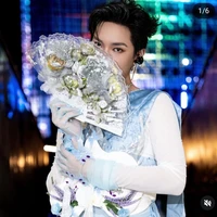 Nguyễn Thanh Pháp-Pháp kiều