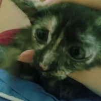 ？？？
