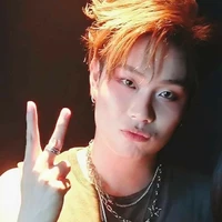 Trần Đăng Dương [Dương domic]