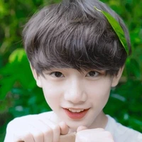 Đinh Trình Hâm
