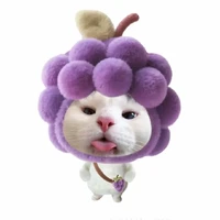 con mèo béo