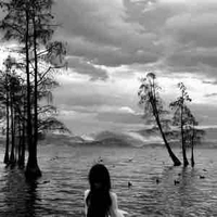 Trâm_mẹ của Khuê