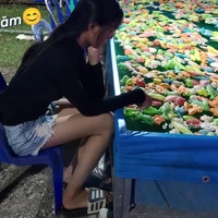 Hồng Hạnh