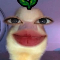 tg nèe tr