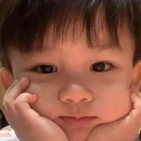 lê phạm bảo long