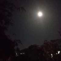 học sinh 10a1