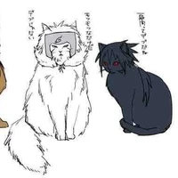 T/g (Mizukoz bị khờ)