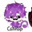 Hiha catnap