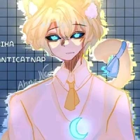 Hiha anti catnap