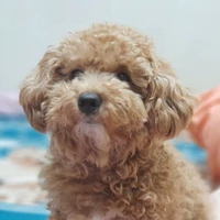 tg nhiều bài tập