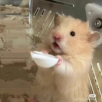 tất cả(cần trừ ai thì trừ)