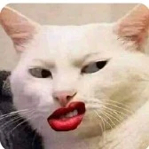 hệ thống (Phãn diện)