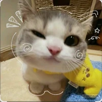 Hệ thống ăn hại🤡