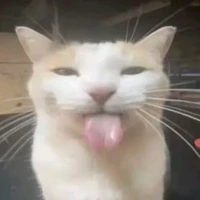 all