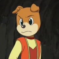 Hachi