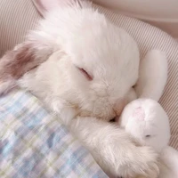 Thỏ con xinkiuu 🐇💗