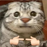 Quang Hùng phiên bản mèo