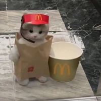 Anh Tú phiên bản mèo