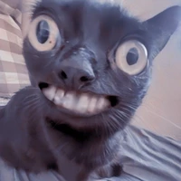 Bot 9 ( mẹ thằng hãm lồn 🖕🤮🤨)