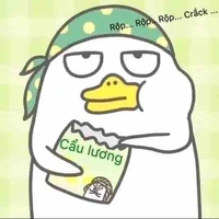 Mọi người