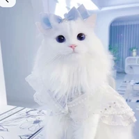 Hệ Thống Meo-7096