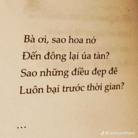 Nv phụ cân mọi loại vai