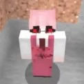 H1H1