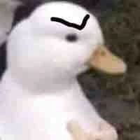 Con tác giả và hệ thống 