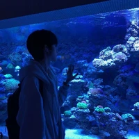 Phan Gia Khang (na9)