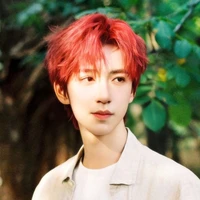 Hạ Tuấn Lâm