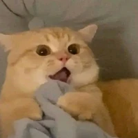 All