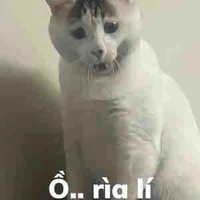 Cân mọi vai phụ