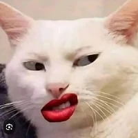 hệ thống 6677(kena)