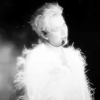 Trần Đăng Dương