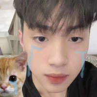 Võ Đình Văn - Vanvo