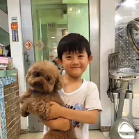 Trần Dịch Hằng