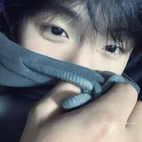 Hàn Khôi Nguyên _  bin