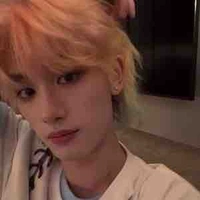 Đinh Trình Hâm 
