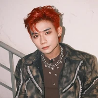 Nguyễn Hữu Sơn - Swan