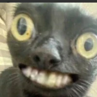 t/g thèm đuj chance 