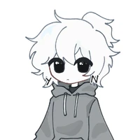 Y/N