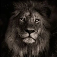 mọi người ( trừ ai thì trừ )