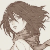 mikasa