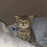 t.g // thèm lồn chance vãi //