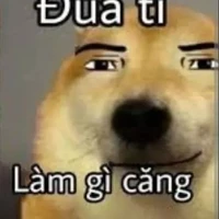 đt