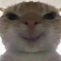 mọi ng xem chuyện 💞