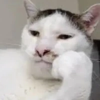 nv