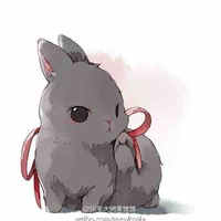 Hệ thống-tiểu hắc