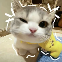 tgia